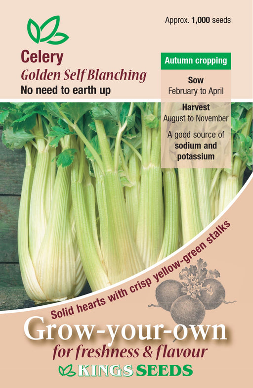 Kings Seeds Celery Golden Self Blanching Seeds