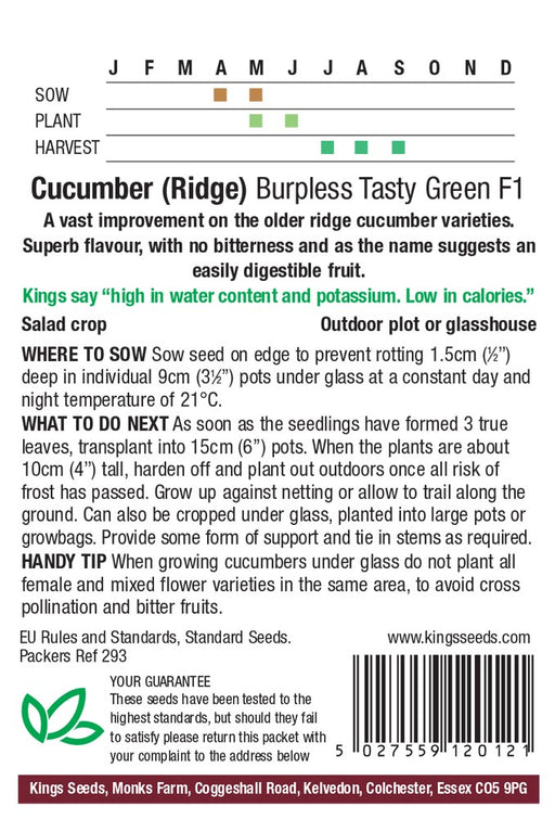 Kings Seeds Cucumber Burpless Tasty Green Seeds