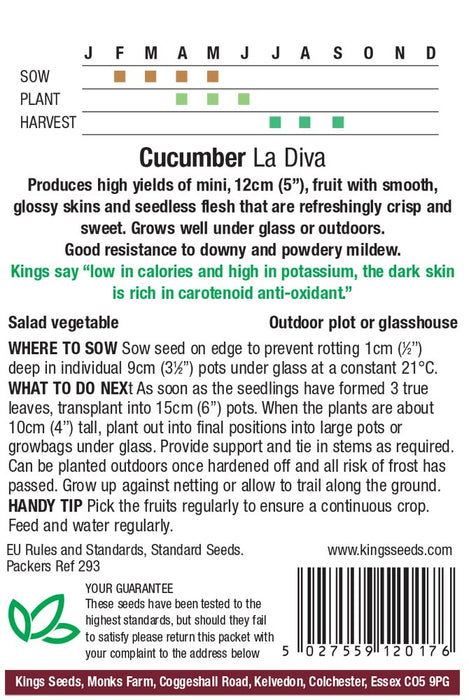 Kings Seeds Cucumber La Diva Seeds