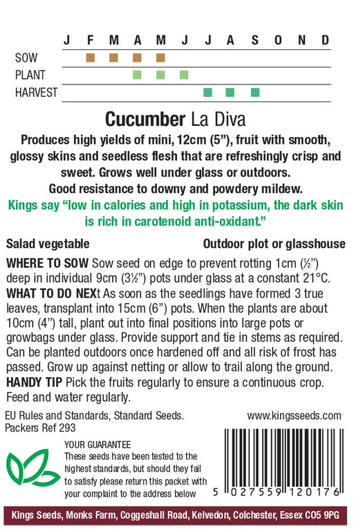 Kings Seeds Cucumber La Diva Seeds