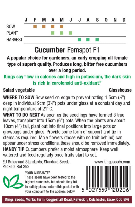 Kings Seeds Cucumber Femspot F1 Seeds
