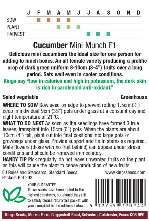 Kings Seeds Cucumber Mini Munch F1 Seeds