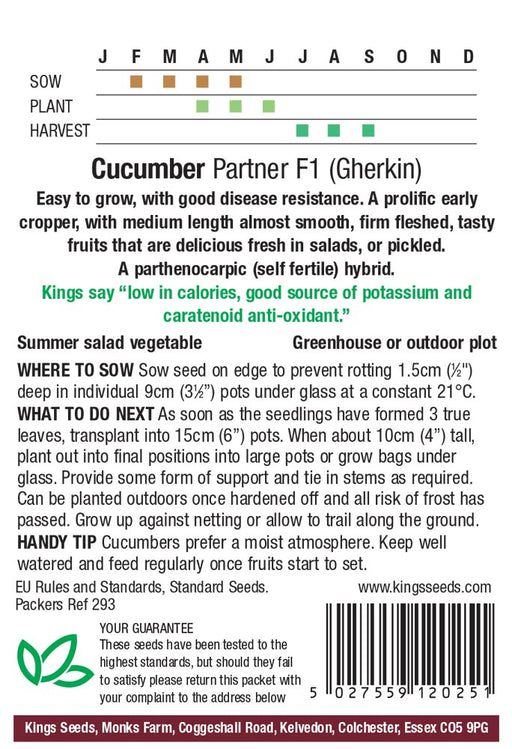 Kings Seeds Cucumber Partner F1 Gherkin Seeds
