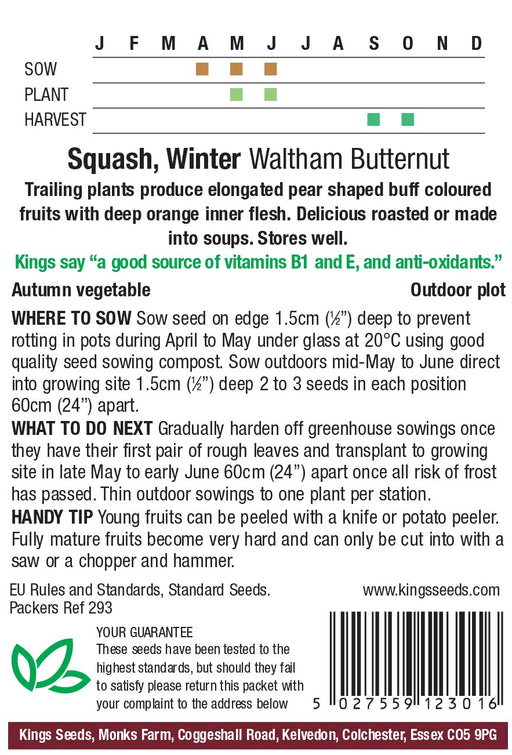 Kings Seeds Squash Winter Butternut Waltham Butternut Seeds