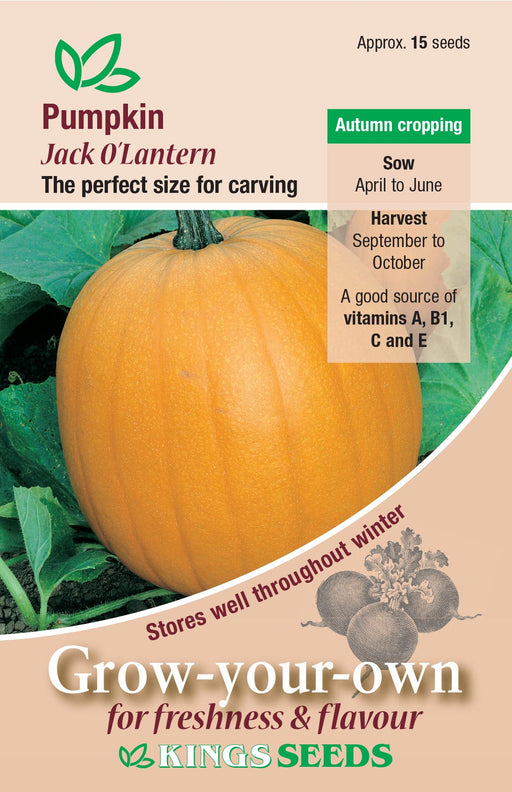 Kings Seeds Pumpkin Jack O Lantern Seeds