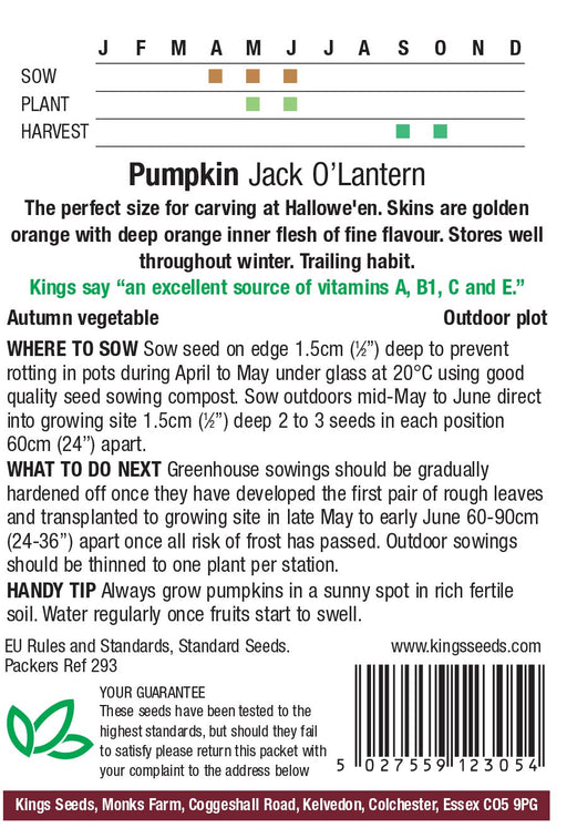 Kings Seeds Pumpkin Jack O Lantern Seeds