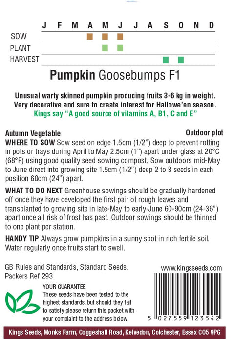 Kings Seeds Pumpkin Goosebumps F1 Seeds