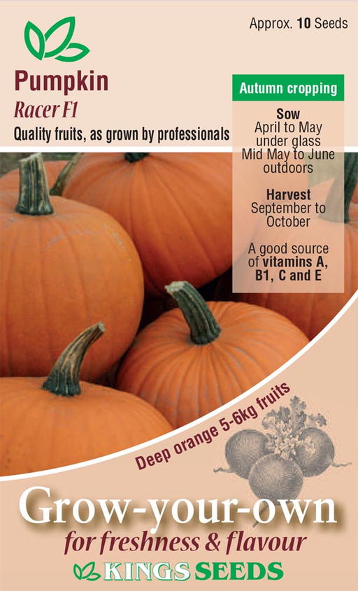 Kings Seeds Pumpkin Racer F1