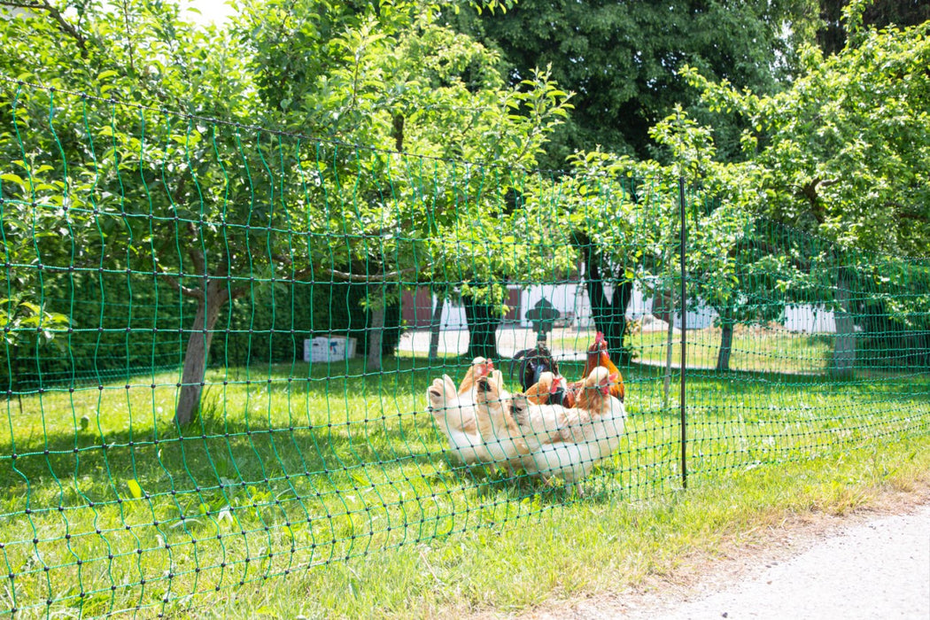 Rutland Electric Poultry Net 50m Green