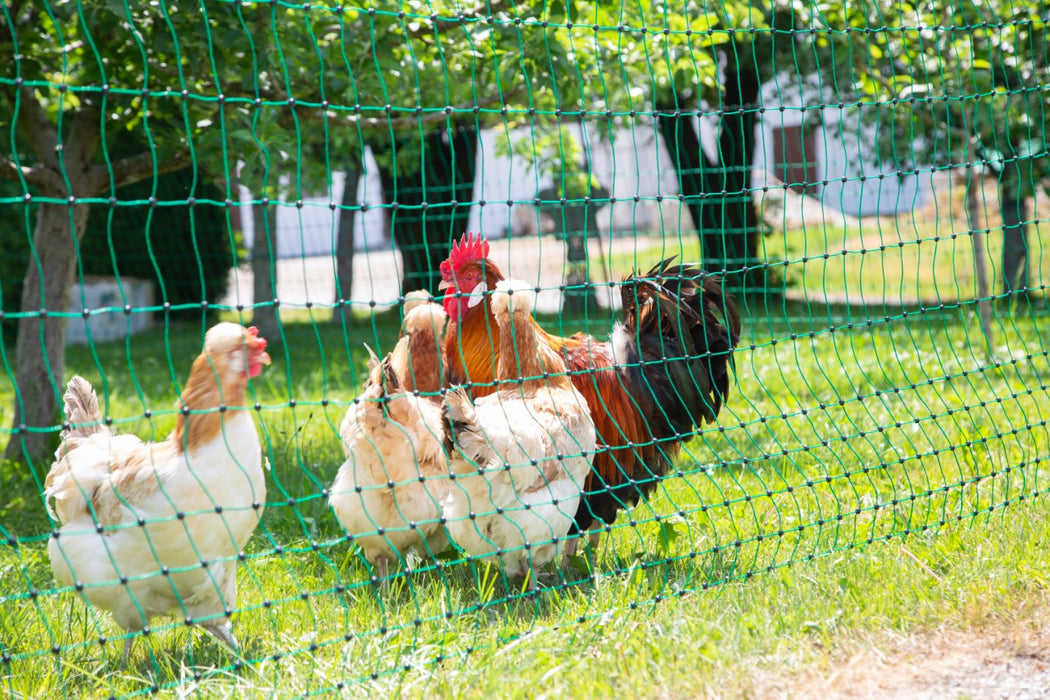 Rutland Electric Poultry Net 50m Green