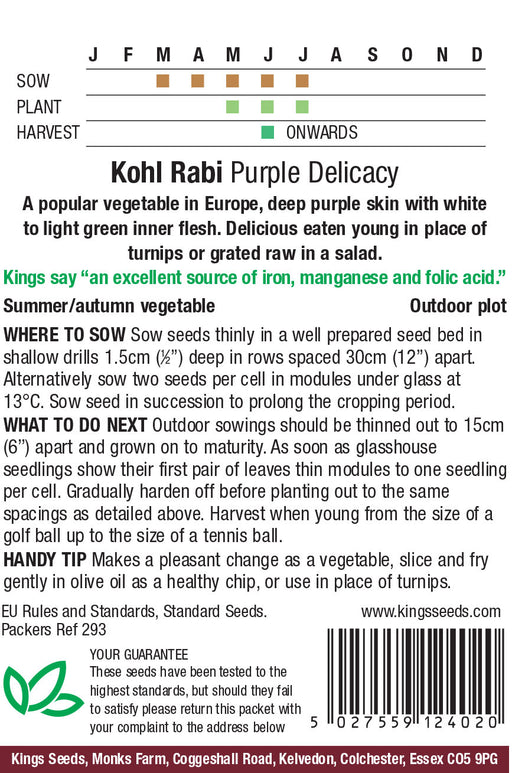 Kings Seeds Kohl Rabi Purple Delicacy Seeds