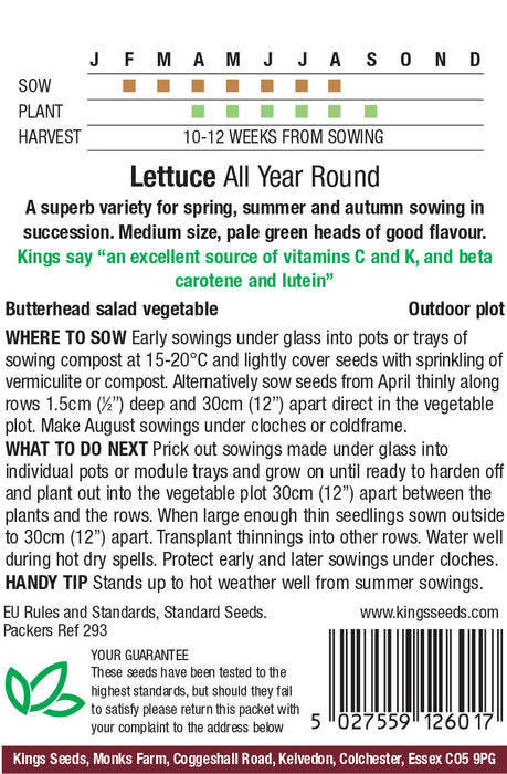 Kings Seeds Lettuce All Year Round Seeds