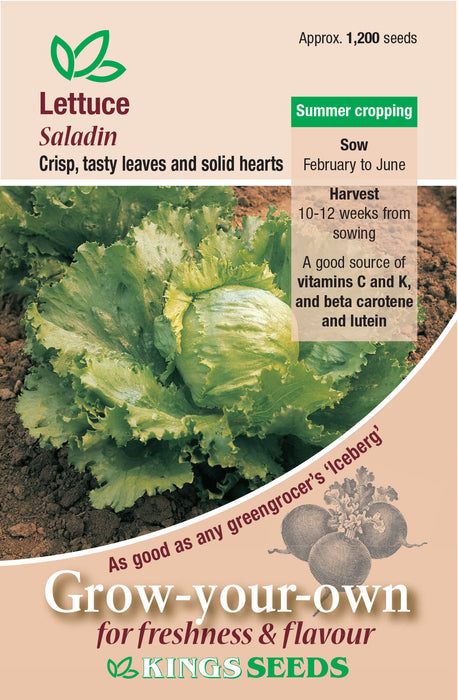 Kings Seeds Lettuce Saladin Seeds