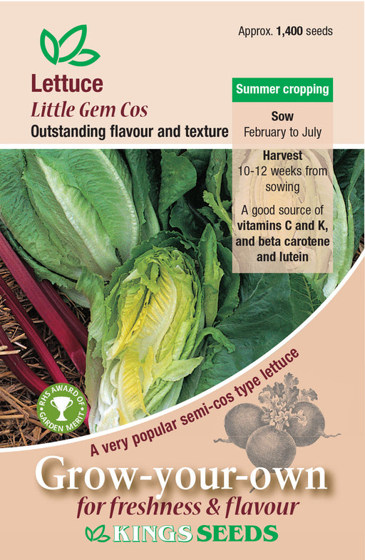 Kings Seeds Lettuce Little Gem Cos RHS AGM Seeds