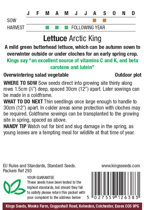 Kings Seeds Lettuce Arctic King Seeds