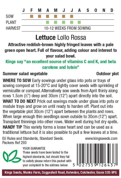 Kings Seeds Lettuce Lollo Rossa RHS AGM Seeds