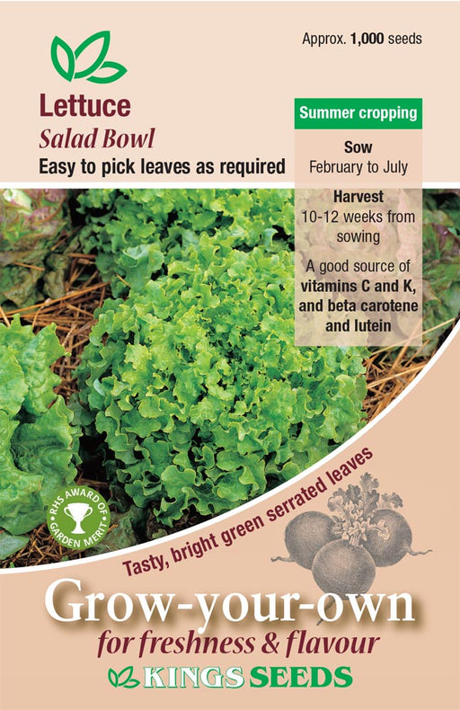 Kings Seeds Lettuce Salad Bowl Green RHS Seeds