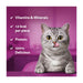 Whiskas Temptation Chicken & Cheese Cat Treats 60g