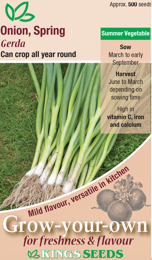 Kings Seeds Spring Onion Gerda
