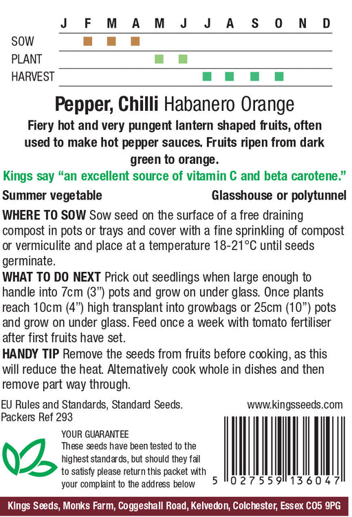 Kings Seeds Chilli Pepper Habanero Orange