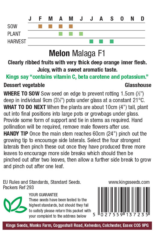 Kings Seeds Melon Malaga F1 Seeds