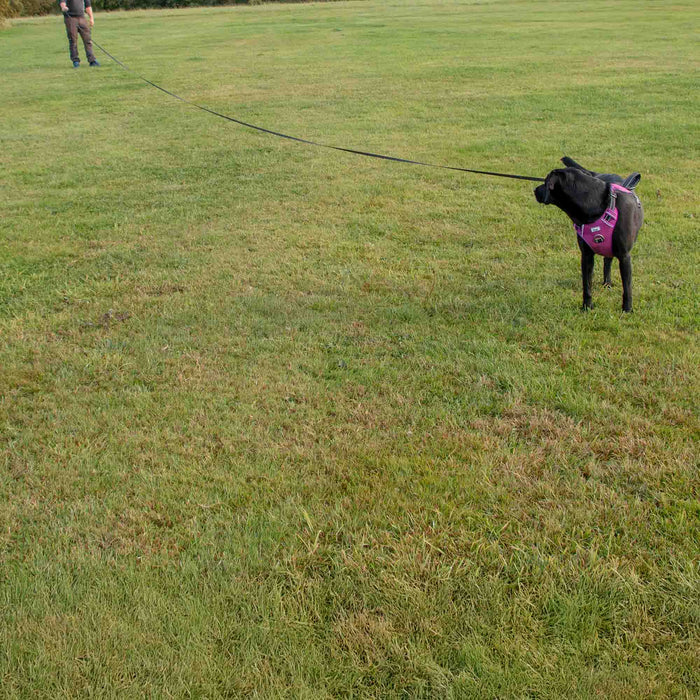 Obedia Training Line