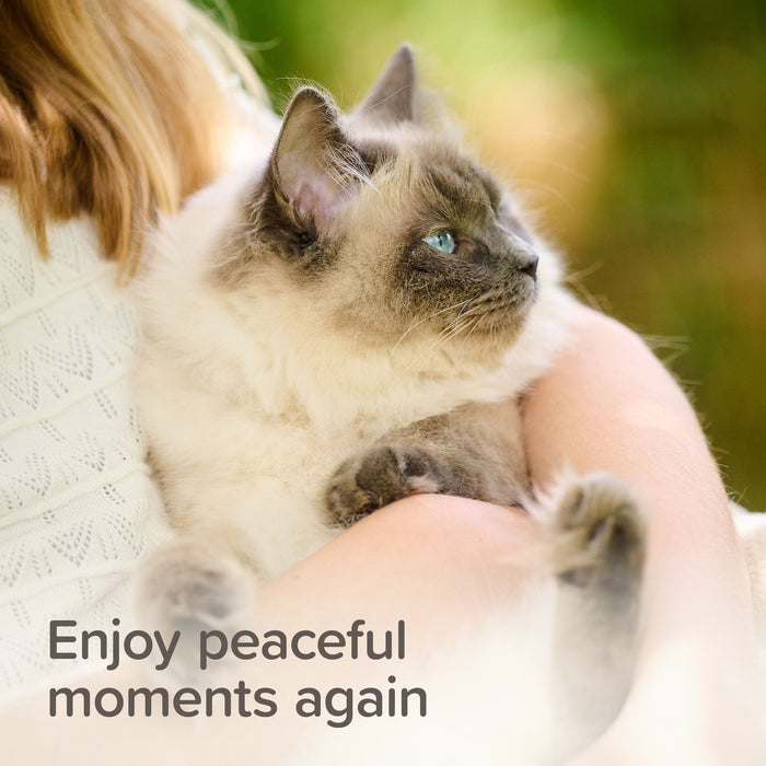 Beaphar StressLess Herbal Calming Spot-On for Cats, 3 pipettes