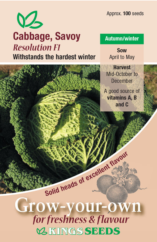 Kings Seeds Cabbage Savoy Resolution F1 Seeds