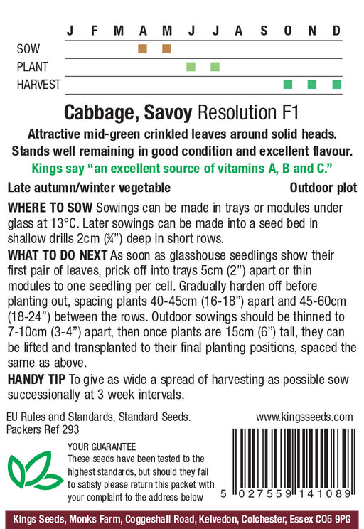 Kings Seeds Cabbage Savoy Resolution F1 Seeds