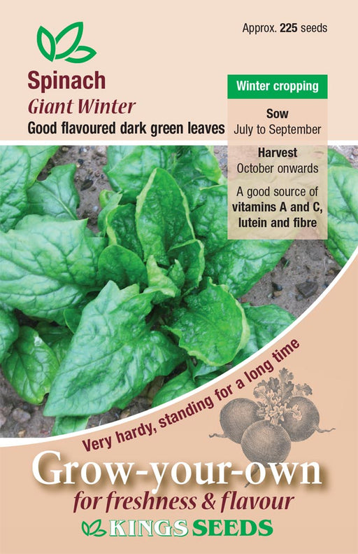 Kings Seeds Spinach Giant Winter Seeds