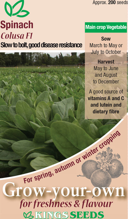 Kings Seeds Spinach Colusa