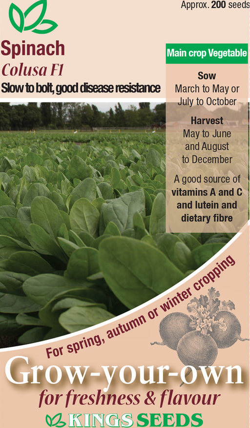 Kings Seeds Spinach Colusa
