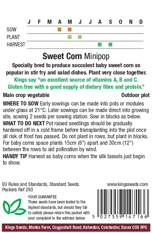 Kings Seeds Sweet Corn Mini Pop