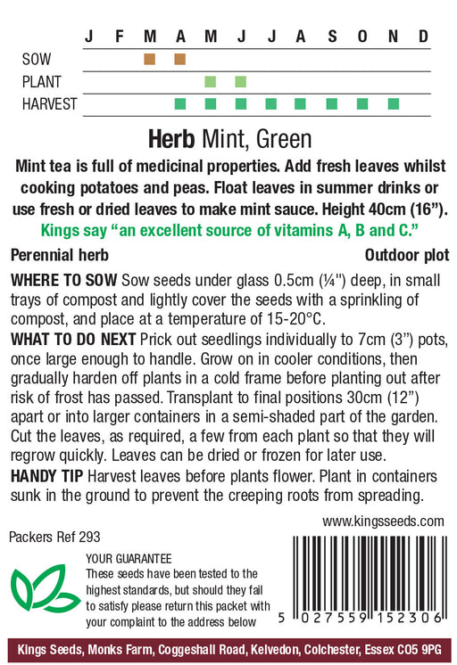 Kings Seeds Herb Mint Green Seeds