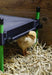 Mini Heating Plate For Chicks 30x30cm