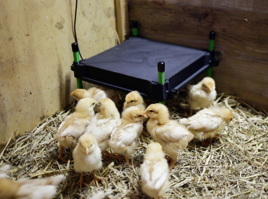 Mini Heating Plate For Chicks 30x30cm