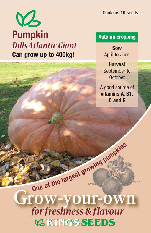 Kings Seeds Pumpkin Dills Atlantic Giant Seeds