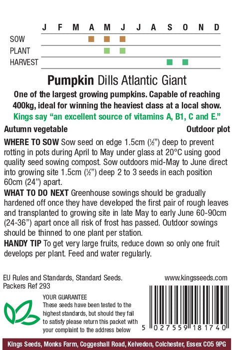 Kings Seeds Pumpkin Dills Atlantic Giant Seeds