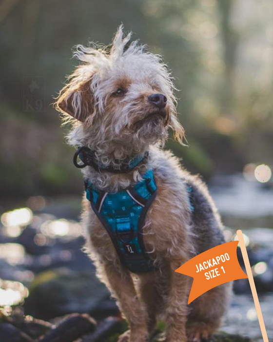 Twiggy Tags Adventure Harness Size Tranquil