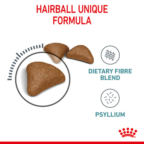 Royal Canin Adult Hairball Care Dry Cat Food  