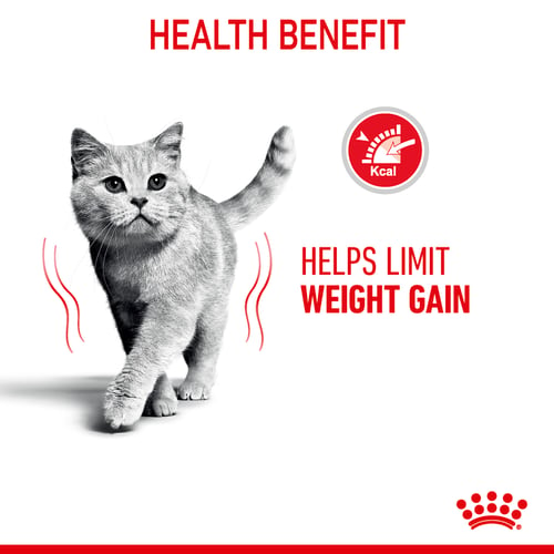 Royal Canin Adult Light Weight Care Dry Cat Food