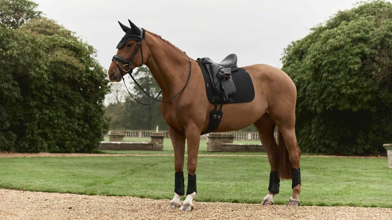 LeMieux Finesse Essence Dressage Square Black
