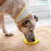 Lemon Lickmat