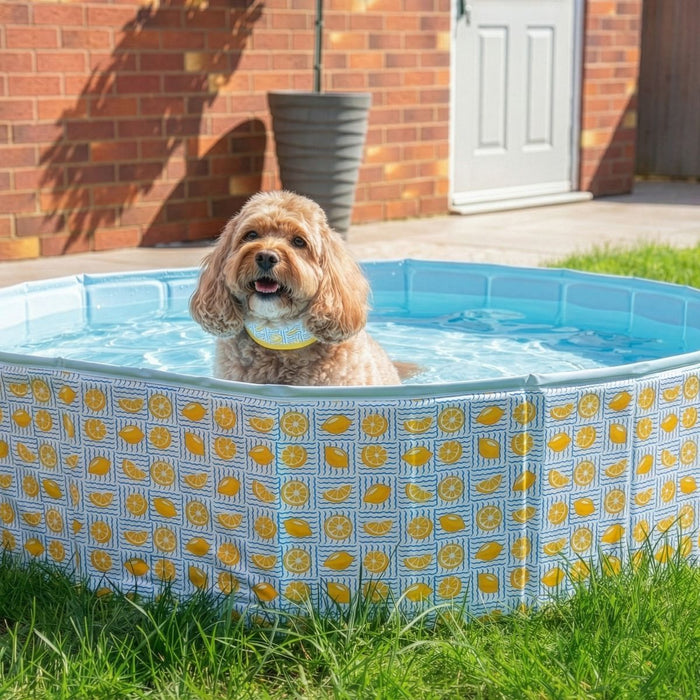 Dog Paddling Pool Lemon