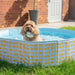 Dog Paddling Pool Lemon