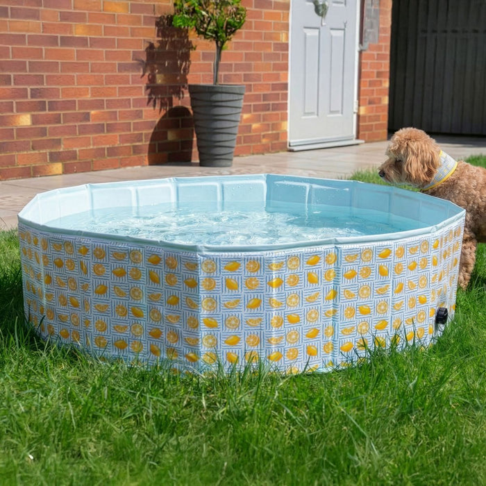 Dog Paddling Pool Lemon