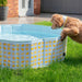 Dog Paddling Pool Lemon