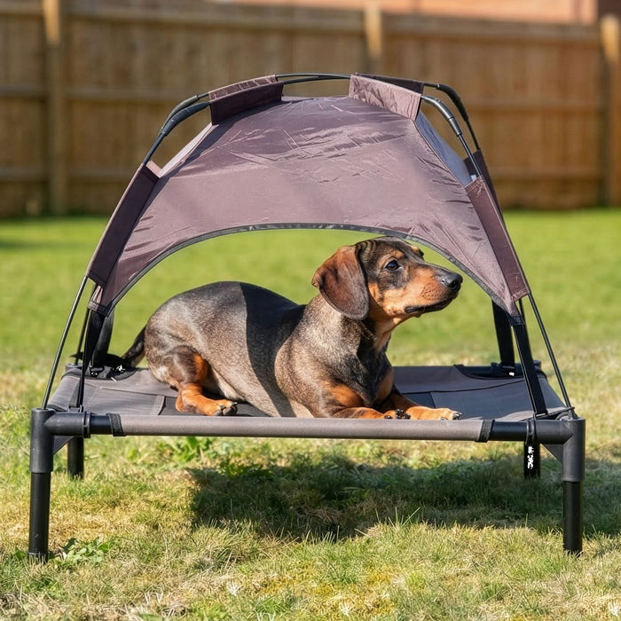 Sheltered Dog Bed