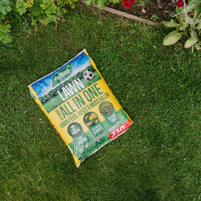 Aftercut Lawn Feed Weed & Moss 350sq
