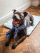 Cooling Neckerchief